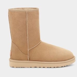 UGG classic short ll